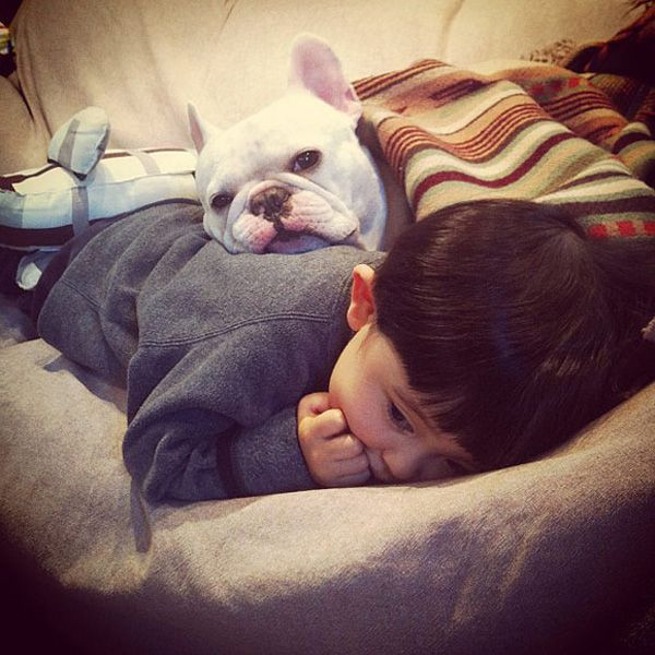 Một nhóc tì người Nhật khác cũng từng trở thành tâm điểm của sự chú ý khi xuất hiện với quả đầu nấm ngộ nghĩnh cùng 