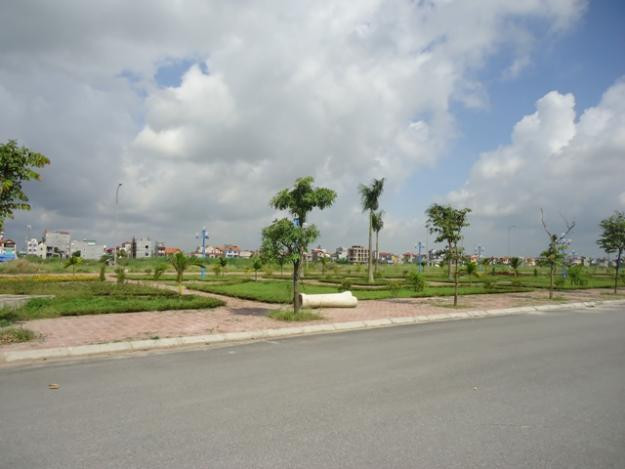 Nhiều người khốn đốn với đất đấu giá. Ảnh: Nguyễn Tú Nhiều người khốn đốn với đất đấu giá