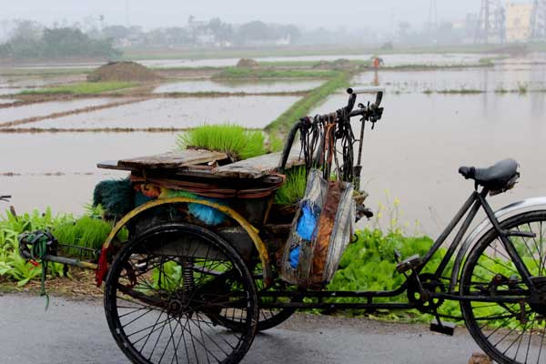 Tạm dừng việc đống áng về mừng thọ các cụ
