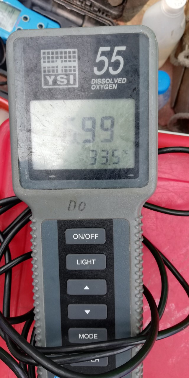 Công bố chất lượng nước Hồ Tây sau thí điểm làm sạch bằng 'bảo bối' Nhật ảnh 3