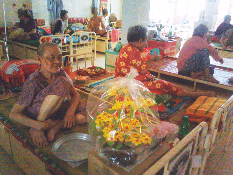 Cành mai xuân Nhâm Thìn Ảnh: T.N.A 