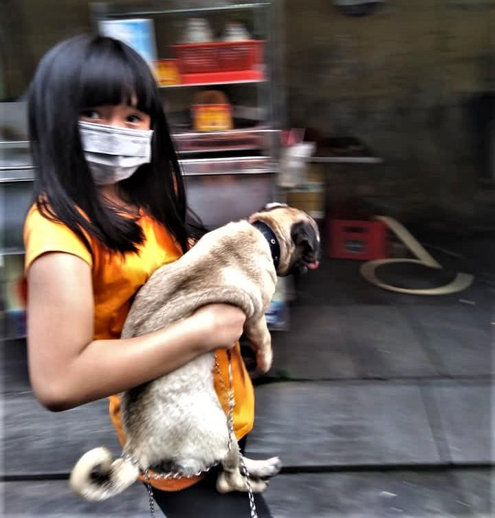 Một em nhỏ bế chó đi dạo trước cửa nhà và nói: "Đây là lần đầu tiên cháu ra khỏi nhà kể từ ngày giãn cách ạ".