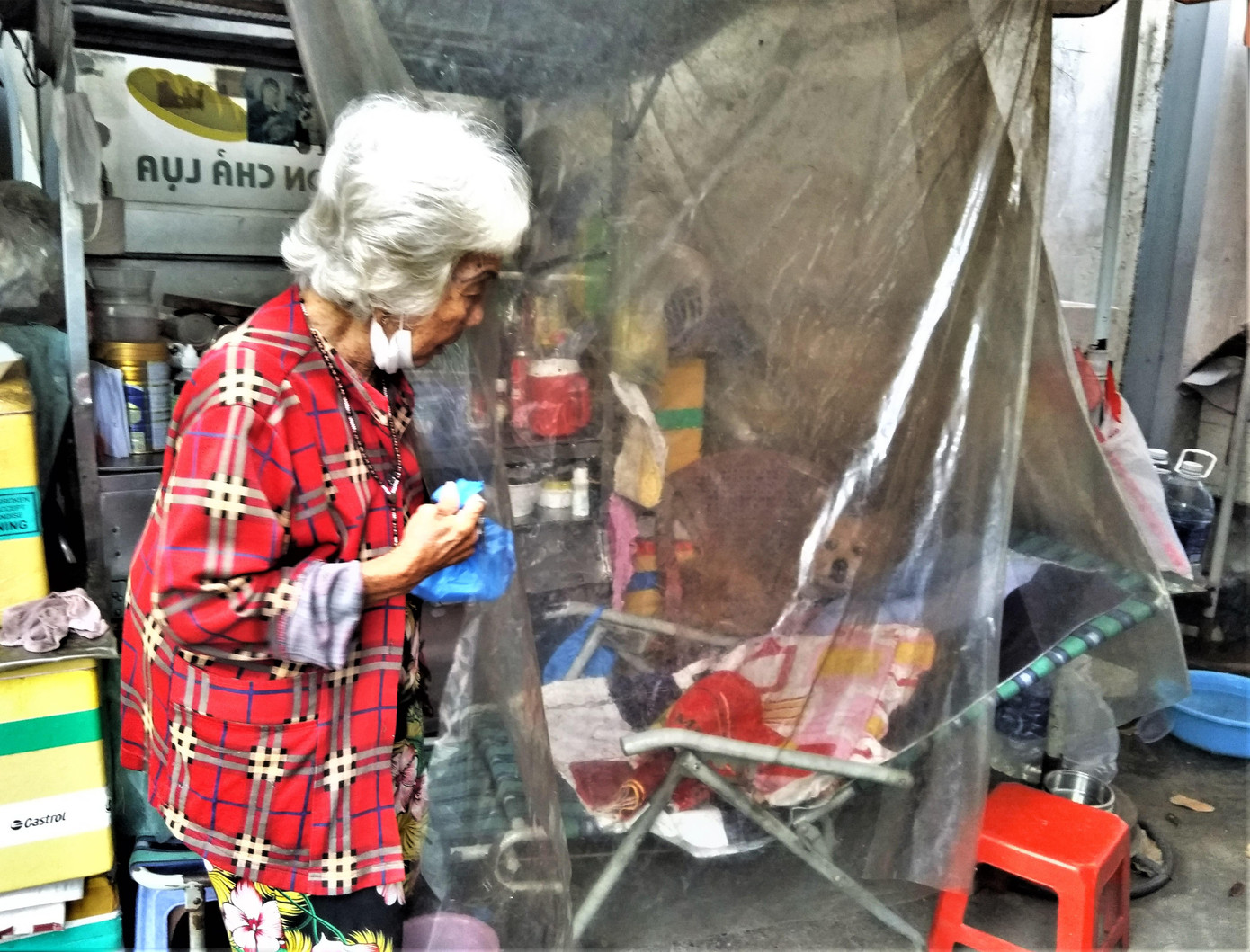 Cụ già ở quận 3 dùng ni lông để quây nơi nghỉ ngơi của mình Cụ già ở quận 3 dùng ni lông để quây nơi nghỉ ngơi của mình