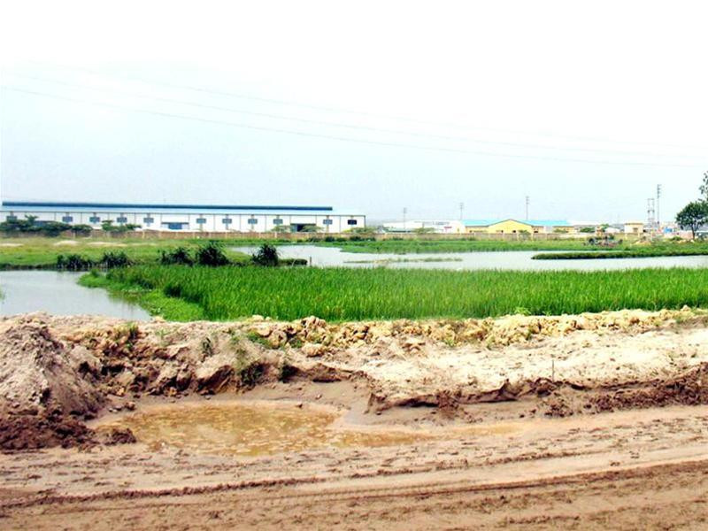 Khu công nghiệp vẫn đang tiếp tục lấn đất trồng lúa của người dân Tiên Du, Bắc Ninh. Ảnh: Phong Cầm. Khu công nghiệp vẫn đang tiếp tục lấn đất trồng lúa của người dân Tiên Du, Bắc Ninh. Ảnh: Phong Cầm.