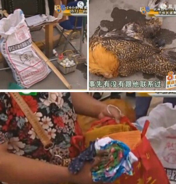 Chê mẹ xấu xí, con trai nhất quyết không chịu gặp mặt ảnh 2