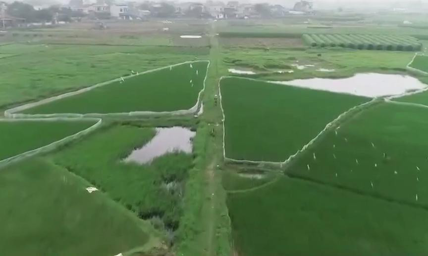 Thanh tra Bộ Tài nguyên và Môi trường đề nghị UBND tỉnh Thái Nguyên kiểm tra đối với dự án khu nhà ở Thăng Long tại phường Túc Duyên (TP Thái Nguyên) sau phản ánh đất chưa "sạch" đã bán đấu giá. Được biết, hiện nay khu đất dự án vẫn là cánh đồng trồng lúa. Thanh tra Bộ Tài nguyên và Môi trường đề nghị UBND tỉnh Thái Nguyên kiểm tra đối với dự án khu nhà ở Thăng Long tại phường Túc Duyên (TP Thái Nguyên) sau phản ánh đất chưa "sạch" đã bán đấu giá. Được biết, hiện nay khu đất dự án vẫn là cánh đồng trồng lúa.