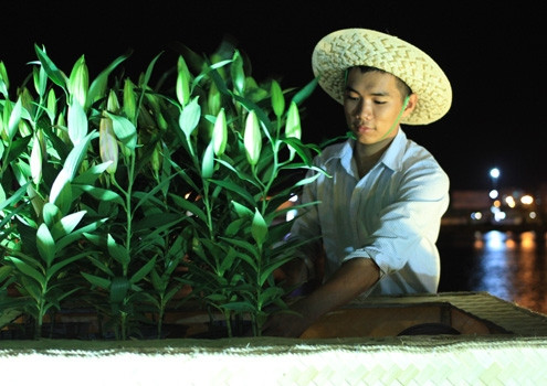 Để có đường hoa đẹp, rực rỡ, các nhân viên không ngừng chăm sóc, bảo vệ từng chậu hoa