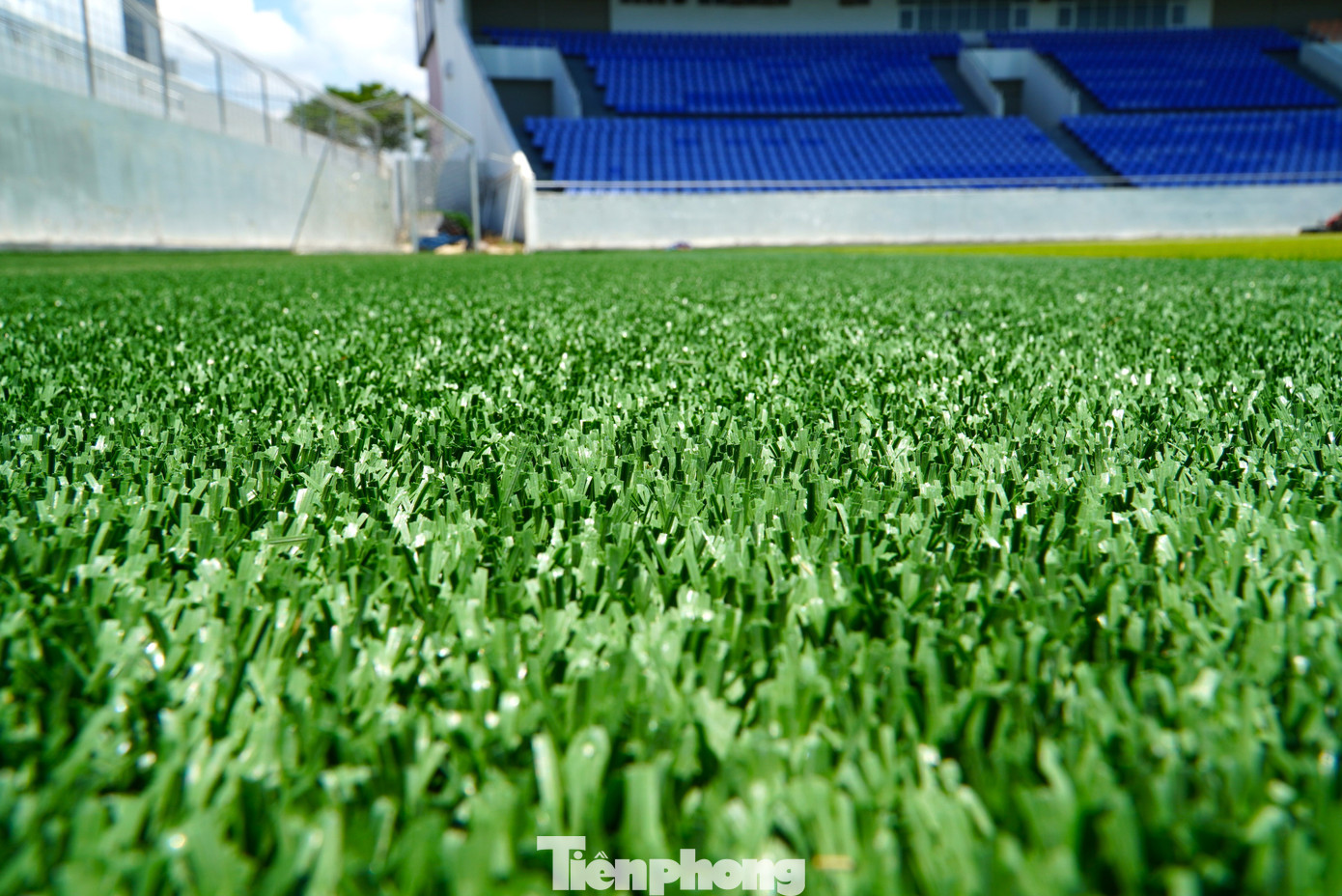 Trong khi đó, cỏ nhân tạo là loại không dùng hạt cao su, chiều cao cỏ 30mm được trồng bao quanh vùng cỏ tự nhiên ở giữa sân.