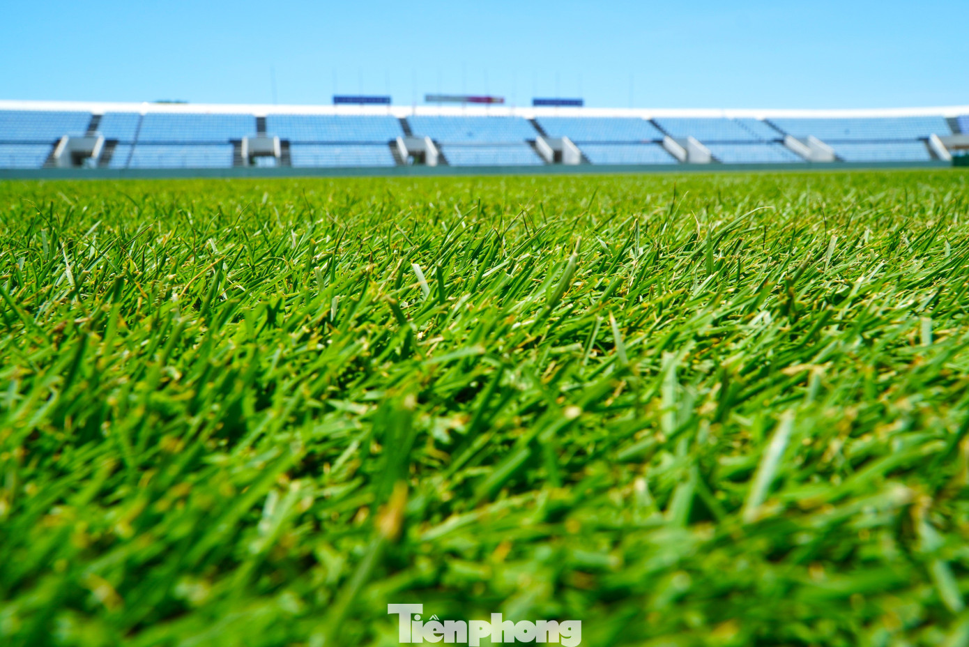 Theo ghi nhận, mặt sân cỏ đã trồng xong, chắc rễ, lên màu đẹp. Giống cỏ tự nhiên được trồng trên sân là Zeon Zoysia cao cấp dành riêng cho bóng đá, đạt chứng nhận ITGAP.
