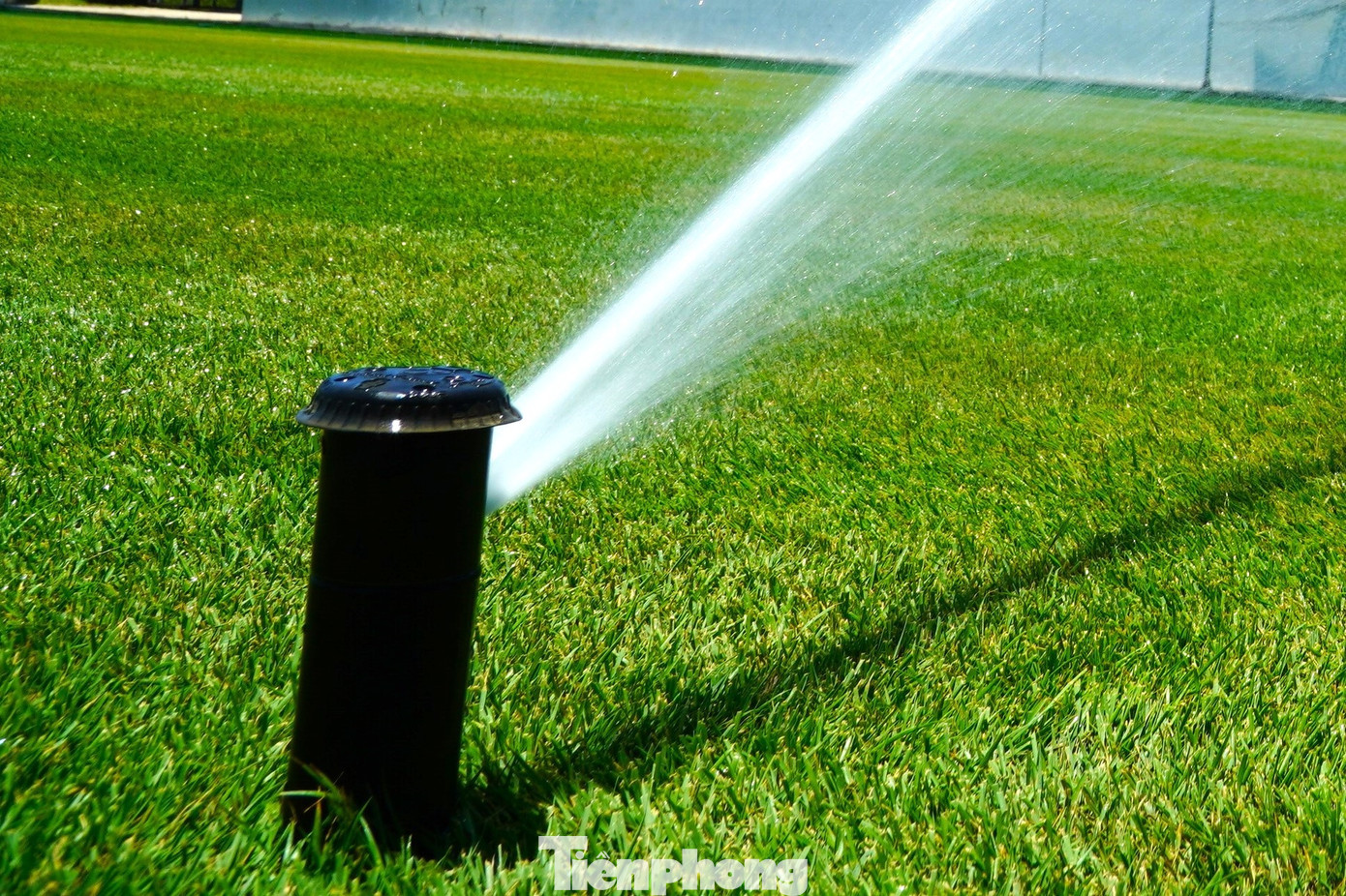 Để đảm bảo cỏ sống tốt, trên sân trang bị 24 đầu phun tưới. Trong thời tiết nắng nóng sẽ tưới 4 lần/ngày.