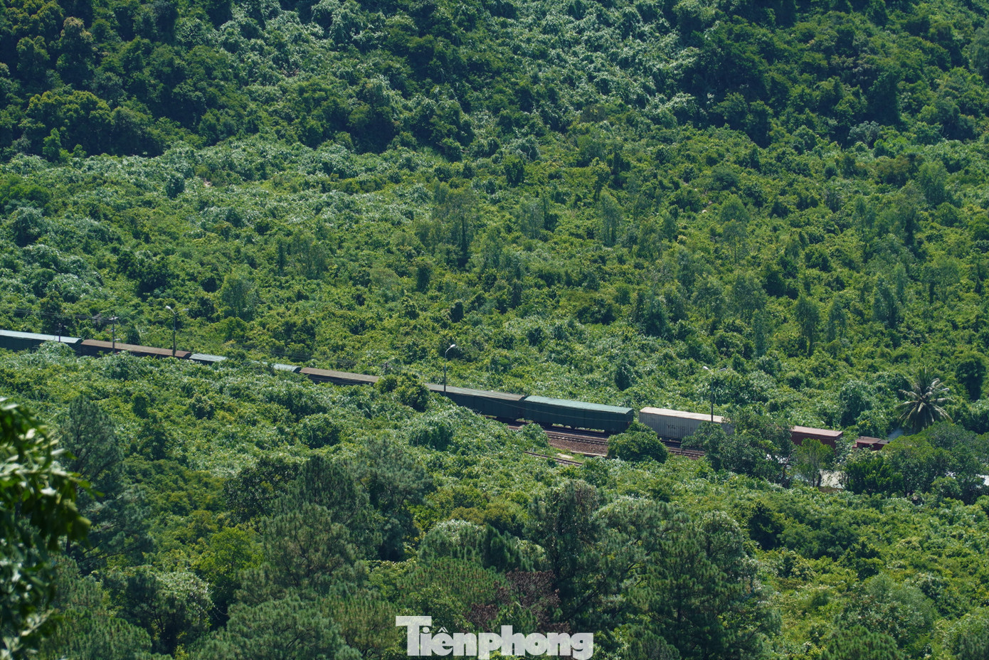 View ngắm tàu qua núi từ đèo Hải Vân. Ảnh: Thanh Hiền.