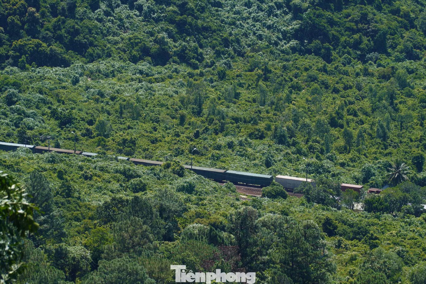 View ngắm tàu qua núi từ đèo Hải Vân. Ảnh: Thanh Hiền.