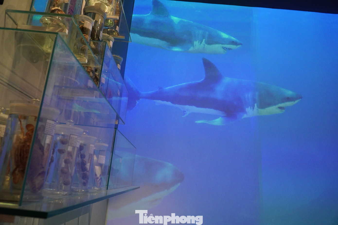 Điểm nhấn độc đáo của bảo tàng là ứng dụng công nghệ hiện đại như bảng led, hệ thống trình chiếu phim tự động, thiết bị cảm biến tự động, công nghệ 3D để khách tham quan tương tác tốt hơn.