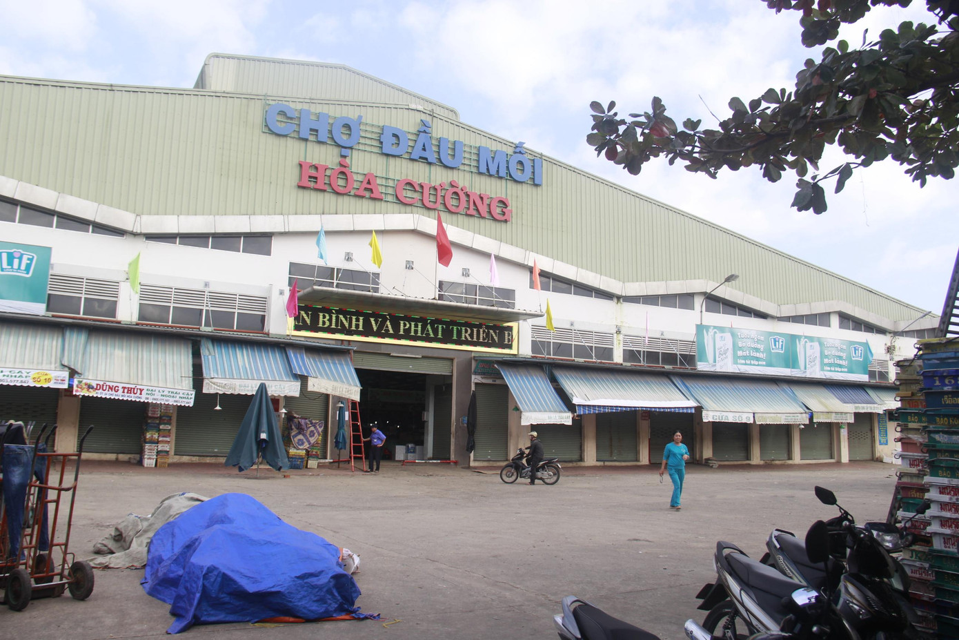 Chợ đầu mối Hòa Cường có trường hợp dương tính tới mua bán tại quầy cá. Ảnh: Thanh Trần.