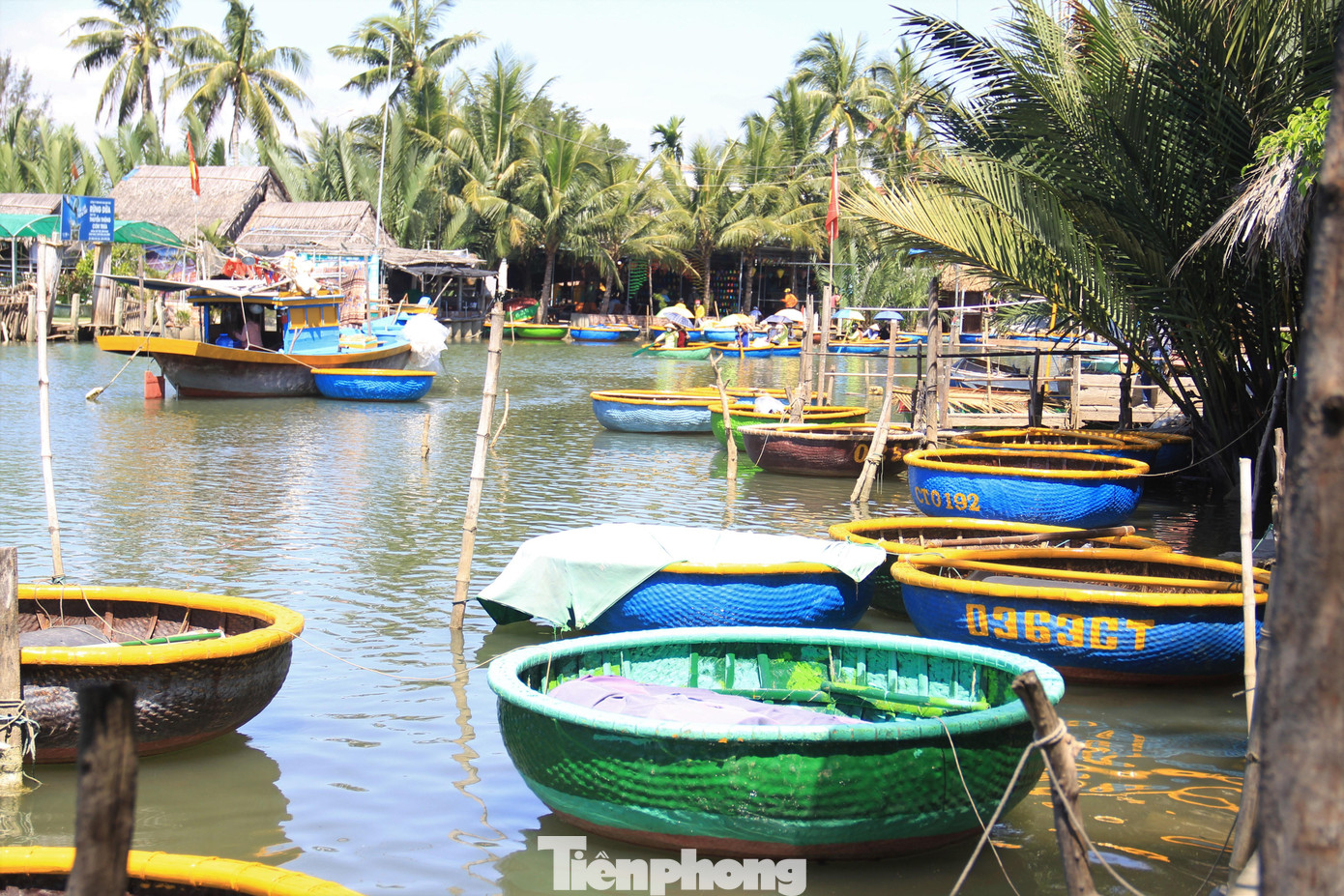 Phần lớn thuyền thúng được sơn lại hai màu xanh, vàng tươi mới, hài hòa. Phần lớn thuyền thúng được sơn lại hai màu xanh, vàng tươi mới, hài hòa.