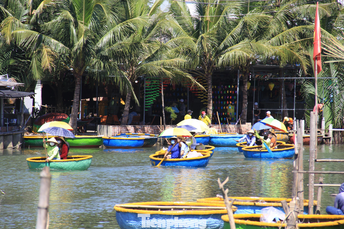 Rừng dừa Bảy Mẫu (xã Cẩm Thanh, TP Hội An) mỗi ngày đón cả ngàn du khách, phần lớn là khách quốc tế. Ảnh: Thanh Hiền.