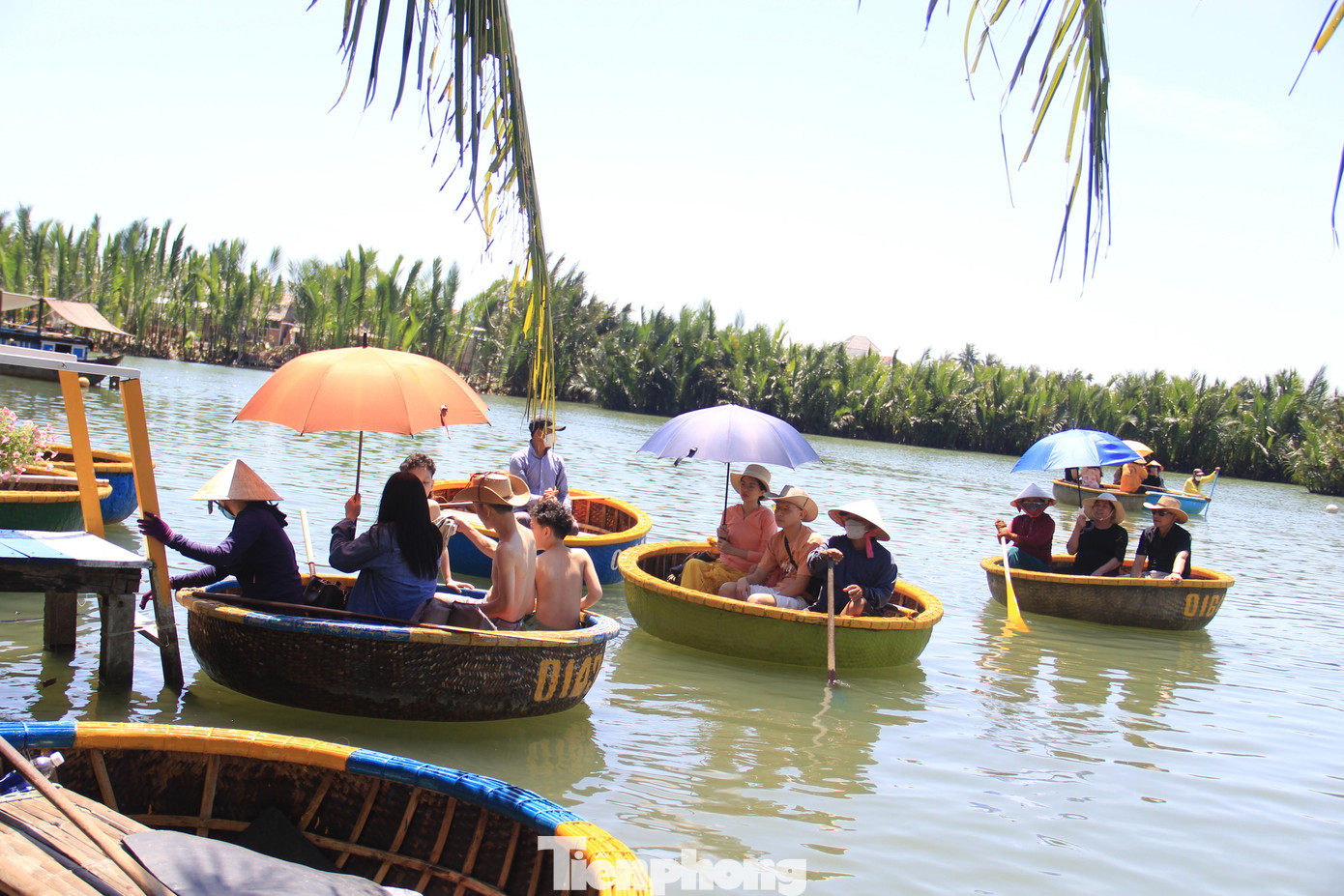Ngày trước, rừng dừa Bảy Mẫu chỉ có khoảng 30 thúng phục vụ du khách. Đến nay đã hơn 1.000 thúng. Những năm trước dịch, mùa cao điểm du lịch nơi đây thường xuyên “cháy thúng”. Ngày trước, rừng dừa Bảy Mẫu chỉ có khoảng 30 thúng phục vụ du khách. Đến nay đã hơn 1.000 thúng. Những năm trước dịch, mùa cao điểm du lịch nơi đây thường xuyên “cháy thúng”.