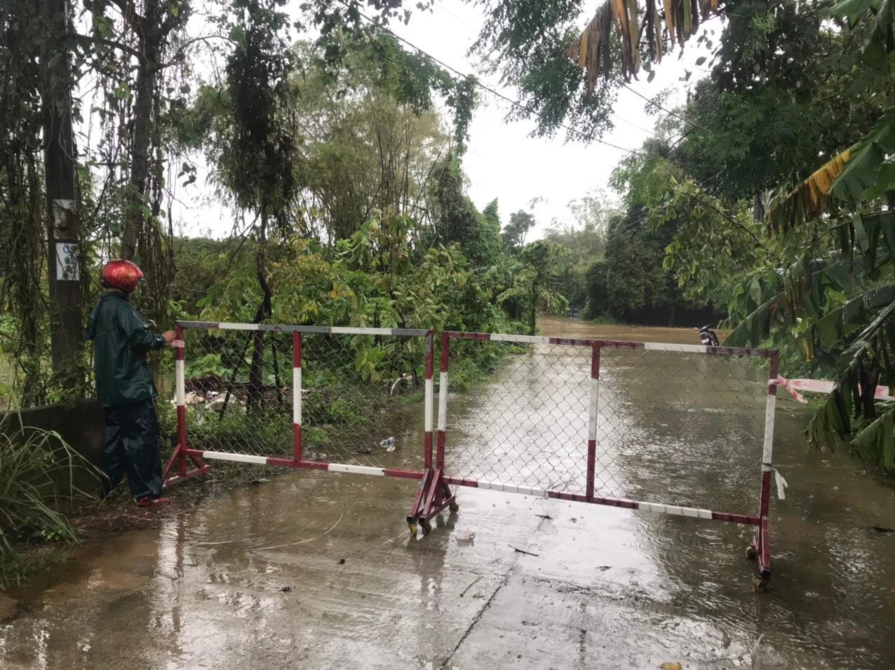 Theo Ban Chỉ huy phòng chống thiên tai, tìm kiếm cứu nạn và phòng thủ dân sự Đà Nẵng, tính đến 8h ngày 10/10, có 4/11 xã tại huyện Hòa Vang bị ngập úng do mưa lớn. Cụ thể, tại xã Hòa Bắc có các thôn Lộc Mỹ, thôn Nam Yên và thôn An Định bị ngập, chia cắt. Tại xã Hòa Liên, nước lớn gây ngập cục bộ các thôn Trung Sơn, Hiền Phước, Trường Định. Tại xã Hòa Phong, nước sông Túy Loan dâng cao, vùng rau Túy Loan, ớt Bồ Bản cũng bị ngập. Theo Ban Chỉ huy phòng chống thiên tai, tìm kiếm cứu nạn và phòng thủ dân sự Đà Nẵng, tính đến 8h ngày 10/10, có 4/11 xã tại huyện Hòa Vang bị ngập úng do mưa lớn. Cụ thể, tại xã Hòa Bắc có các thôn Lộc Mỹ, thôn Nam Yên và thôn An Định bị ngập, chia cắt. Tại xã Hòa Liên, nước lớn gây ngập cục bộ các thôn Trung Sơn, Hiền Phước, Trường Định. Tại xã Hòa Phong, nước sông Túy Loan dâng cao, vùng rau Túy Loan, ớt Bồ Bản cũng bị ngập.