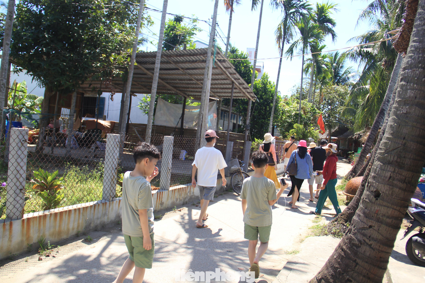 Hiện tại khách nội địa đã quay lại rừng dừa. Hiện tại khách nội địa đã quay lại rừng dừa.