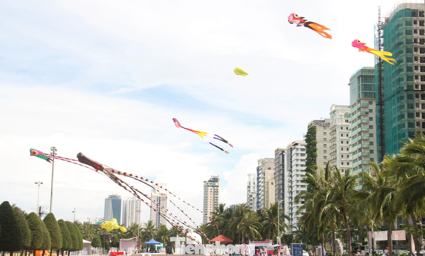 Công viên Biển Đông cũng có cả "đại dương" trên bầu trời. Những con diều hình cá, bạch tuộc, mực... khiến du khách thích thú.