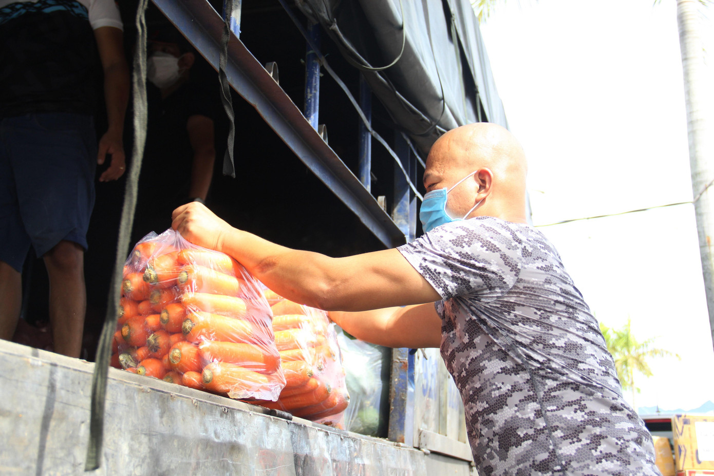 Các loại rau củ chủ yếu là bí đao, bí đỏ, cà rốt, củ đậu, đu đủ…Những loại này vận chuyển đường dài khó dập hỏng. Các loại rau củ chủ yếu là bí đao, bí đỏ, cà rốt, củ đậu, đu đủ…Những loại này vận chuyển đường dài khó dập hỏng.