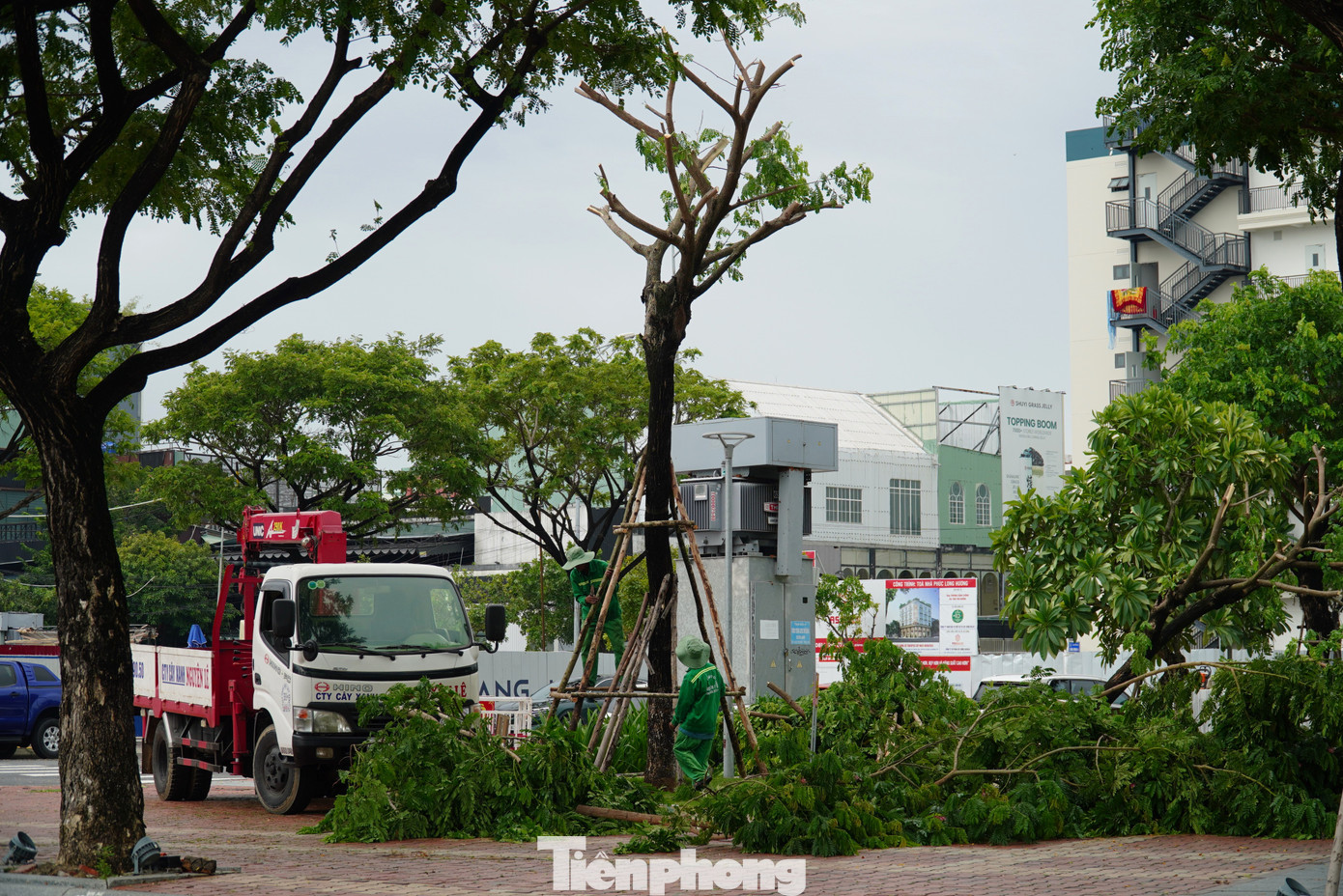 Bên dưới gốc cây nghiêng sẽ được chống đỡ cẩn thận. Công nhân tận dụng các nhánh cây bị gãy, cắt lại làm trụ chống. Theo ghi nhận, các tuyến đường ven sông, khu trống nhà cửa có rất nhiều cây bị nghiêng. Bên dưới gốc cây nghiêng sẽ được chống đỡ cẩn thận. Công nhân tận dụng các nhánh cây bị gãy, cắt lại làm trụ chống. Theo ghi nhận, các tuyến đường ven sông, khu trống nhà cửa có rất nhiều cây bị nghiêng.
