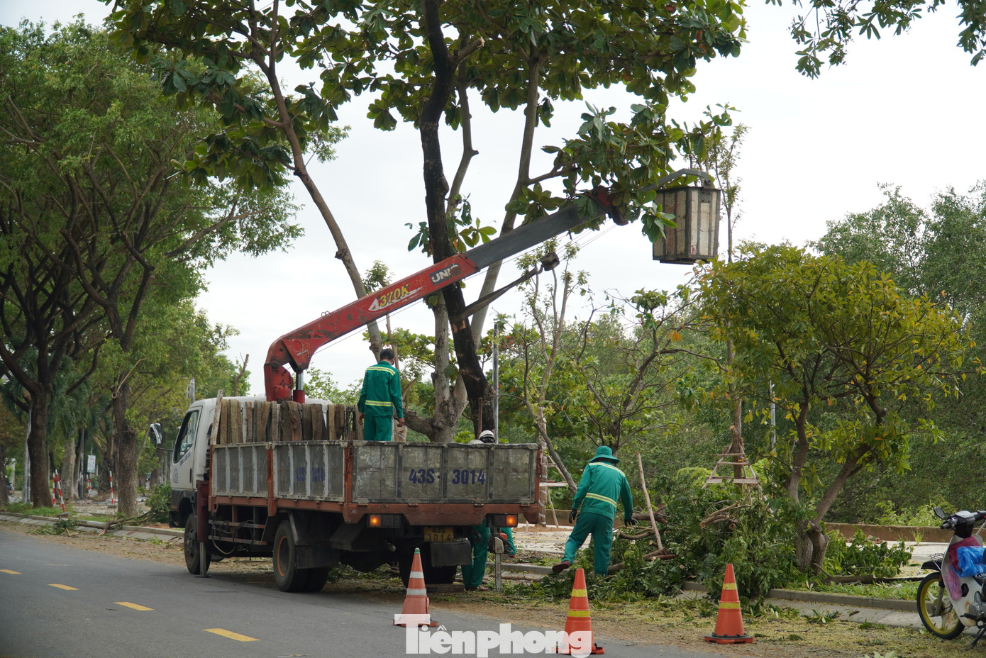 Công nhân buộc thân cây vào cần xe nâng và kéo cho cây thẳng lại. Các công nhân cho biết, những cây khi cắt thân, nhánh phải duy trì độ cao từ 2,5m, không cắt ngang thân ở vị trí thấp gây lãng phí. Công nhân buộc thân cây vào cần xe nâng và kéo cho cây thẳng lại. Các công nhân cho biết, những cây khi cắt thân, nhánh phải duy trì độ cao từ 2,5m, không cắt ngang thân ở vị trí thấp gây lãng phí.