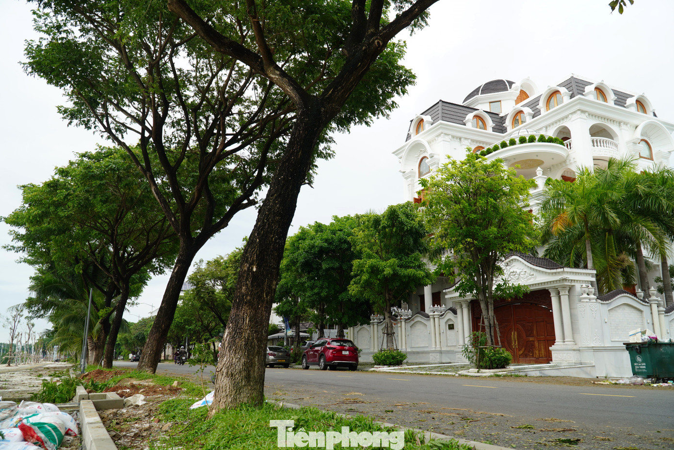 Ngoài ra, hàng loạt cây bị nghiêng có khả năng đổ gây nguy hiểm cho người và phương tiện trên các tuyến đường. Ngoài ra, hàng loạt cây bị nghiêng có khả năng đổ gây nguy hiểm cho người và phương tiện trên các tuyến đường.