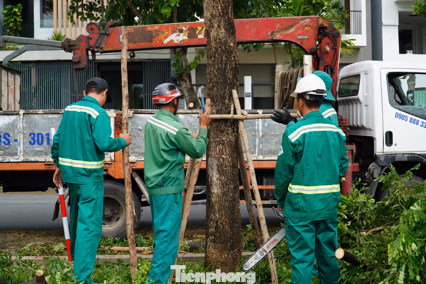 Công nhân chống đỡ cho cây xanh trên tuyến đường Thăng Long. Đây là tuyến đường ven sông có hàng loạt cây ngã đổ, nghiêng trong bão Trà Mi. Công nhân chống đỡ cho cây xanh trên tuyến đường Thăng Long. Đây là tuyến đường ven sông có hàng loạt cây ngã đổ, nghiêng trong bão Trà Mi.