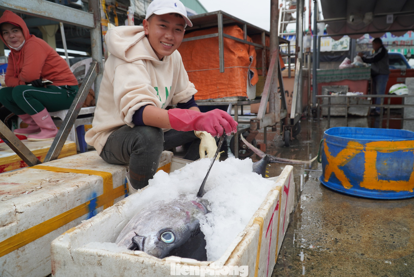 Cá ngừ to nằm choán hết thùng xốp loại lớn. Con cá này đã được một khách từ Hà Nội đặt hàng, chủ vựa cá sẽ cắt, hút túi chân không rồi giao cho khách.