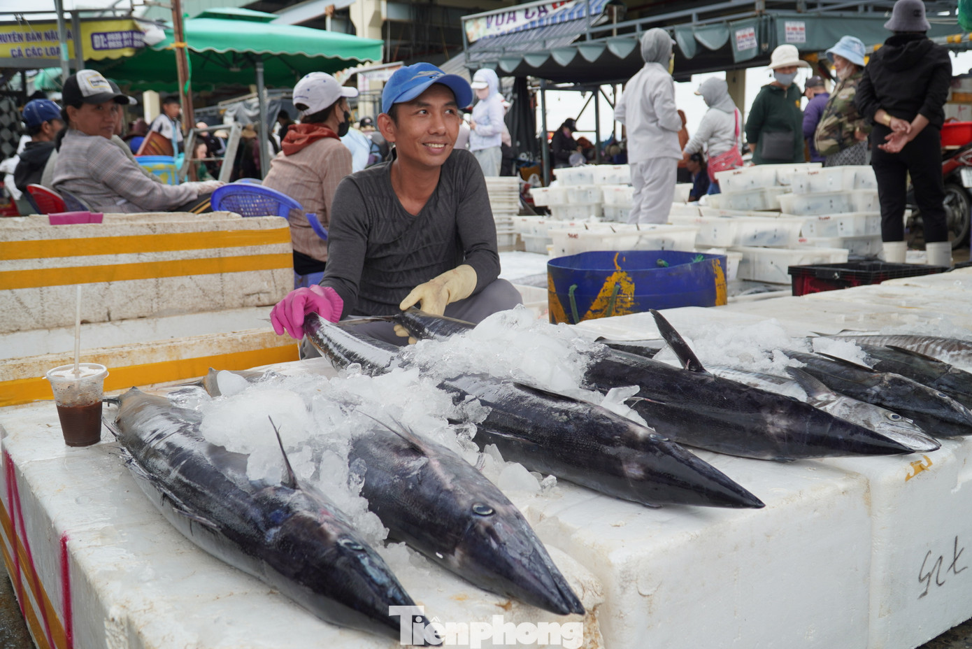 Theo các ngư dân, từ sau Tết đến tháng 5 âm lịch, cá ngừ và cá thu rất nhiều. Giá bán sỉ tại cảng cá ngừ khoảng 60.000 đồng/kg, cá thu 100.000 đồng/kg. "Sau chuyến biển này, chúng tôi về nghỉ ngơi lấy sức khoảng chục ngày rồi đi lại. Hy vọng chuyến sau cũng đánh bắt thuận lợi như vậy, gặp được cá ngừ đại dương nữa thì trúng mánh", ông Dũng cười.