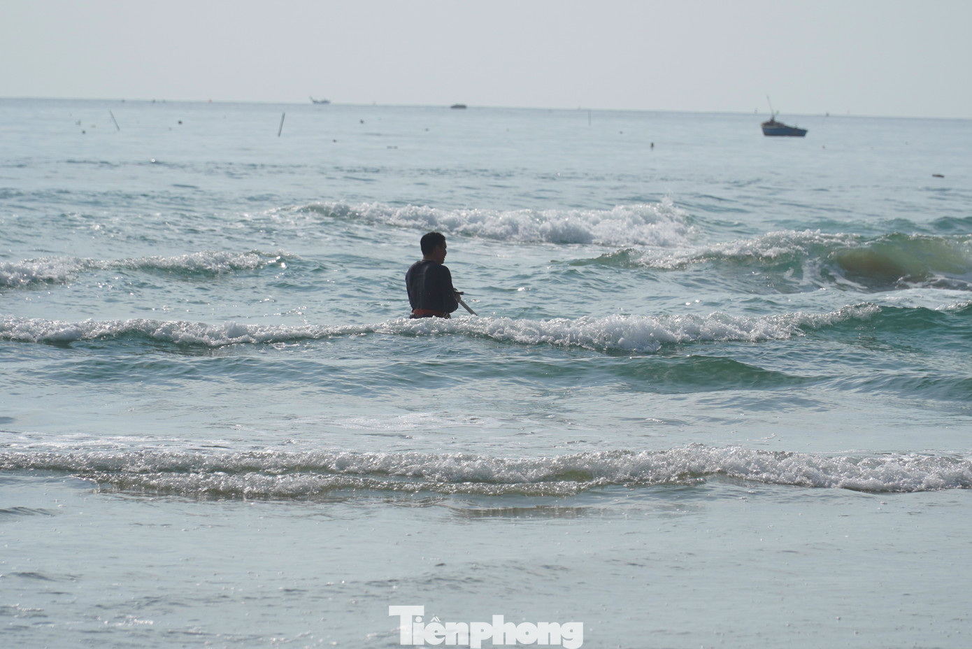 Cào ốc có lúc nước êm, cũng có khi sóng dập đến lút đầu. "Tụi tui chỉ cào ở mức nước mấp mé đầu trở xuống, nhiều lúc sóng mạnh vùi cả đầu. Mỗi đợt cào vậy tầm một tiếng đồng hồ sẽ lên bờ nghỉ và cất bớt ốc. Trừ khi có chỗ ốc dày quá, sinh 'ham' sẽ cào lâu hơn", anh Hoàng Văn Sơn (quận Sơn Trà) nói.