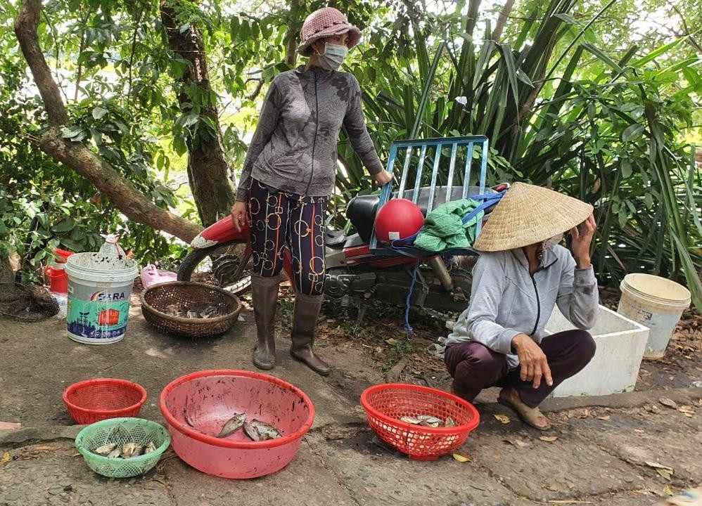 Những chú cá to được bà con trong làng đưa về ăn, số còn lại để biếu cho những ai không bắt được, hoặc để các "o" đem đi bán. Những chú cá to được bà con trong làng đưa về ăn, số còn lại để biếu cho những ai không bắt được, hoặc để các "o" đem đi bán.