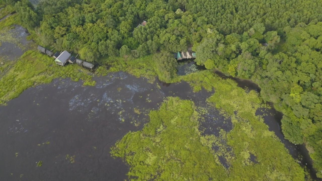 Một góc Trằm Trà Lộc nhìn từ trên cao. Gọi là “phá Trằm”, nhưng thực chất là đánh bắt cá, lươn, ốc…trong hồ. Bà con quan niệm rằng trằm là của tạo hoá ban tặng nên sau những tháng ngày lao động vất vả, họ cùng nhau “phá” trằm để lấy lộc. Ảnh: Kim Vương. Một góc Trằm Trà Lộc nhìn từ trên cao. Gọi là “phá Trằm”, nhưng thực chất là đánh bắt cá, lươn, ốc…trong hồ. Bà con quan niệm rằng trằm là của tạo hoá ban tặng nên sau những tháng ngày lao động vất vả, họ cùng nhau “phá” trằm để lấy lộc. Ảnh: Kim Vương.