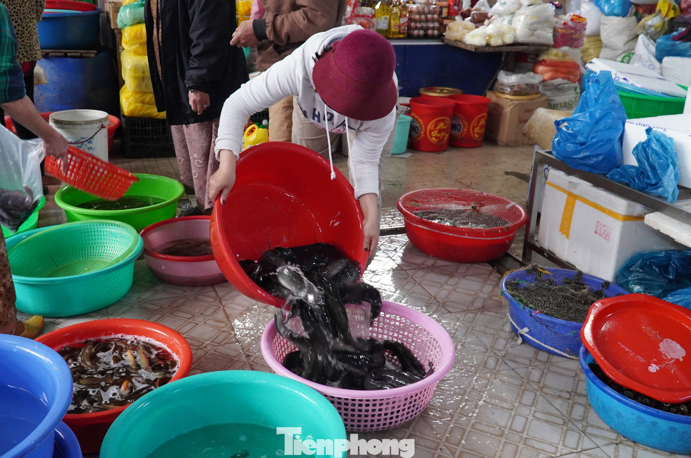 Các quầy bán chủ yếu các loại lươn, cá trê, cá chạch. Theo các tiểu thương, giá bán so với ngày thường không thay đổi nhiều. Lươn 220.000 đồng/kg, cá chạch 120.000 đồng/kg, cá trê nhỏ 80.000 đồng/kg, cá trê lớn 40.000 đồng/kg. Các quầy bán chủ yếu các loại lươn, cá trê, cá chạch. Theo các tiểu thương, giá bán so với ngày thường không thay đổi nhiều. Lươn 220.000 đồng/kg, cá chạch 120.000 đồng/kg, cá trê nhỏ 80.000 đồng/kg, cá trê lớn 40.000 đồng/kg.
