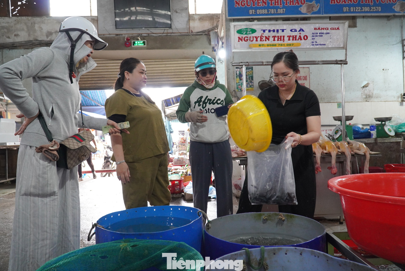 Thả cá phóng sinh là phong tục của người Việt mang đậm ý nghĩa văn hóa, tín ngưỡng. Người dân còn xem giờ, ngày tốt khi đi phóng sinh để cá khỏe mạnh, cầu được nhiều an lành, tài lộc. Thả cá phóng sinh là phong tục của người Việt mang đậm ý nghĩa văn hóa, tín ngưỡng. Người dân còn xem giờ, ngày tốt khi đi phóng sinh để cá khỏe mạnh, cầu được nhiều an lành, tài lộc.