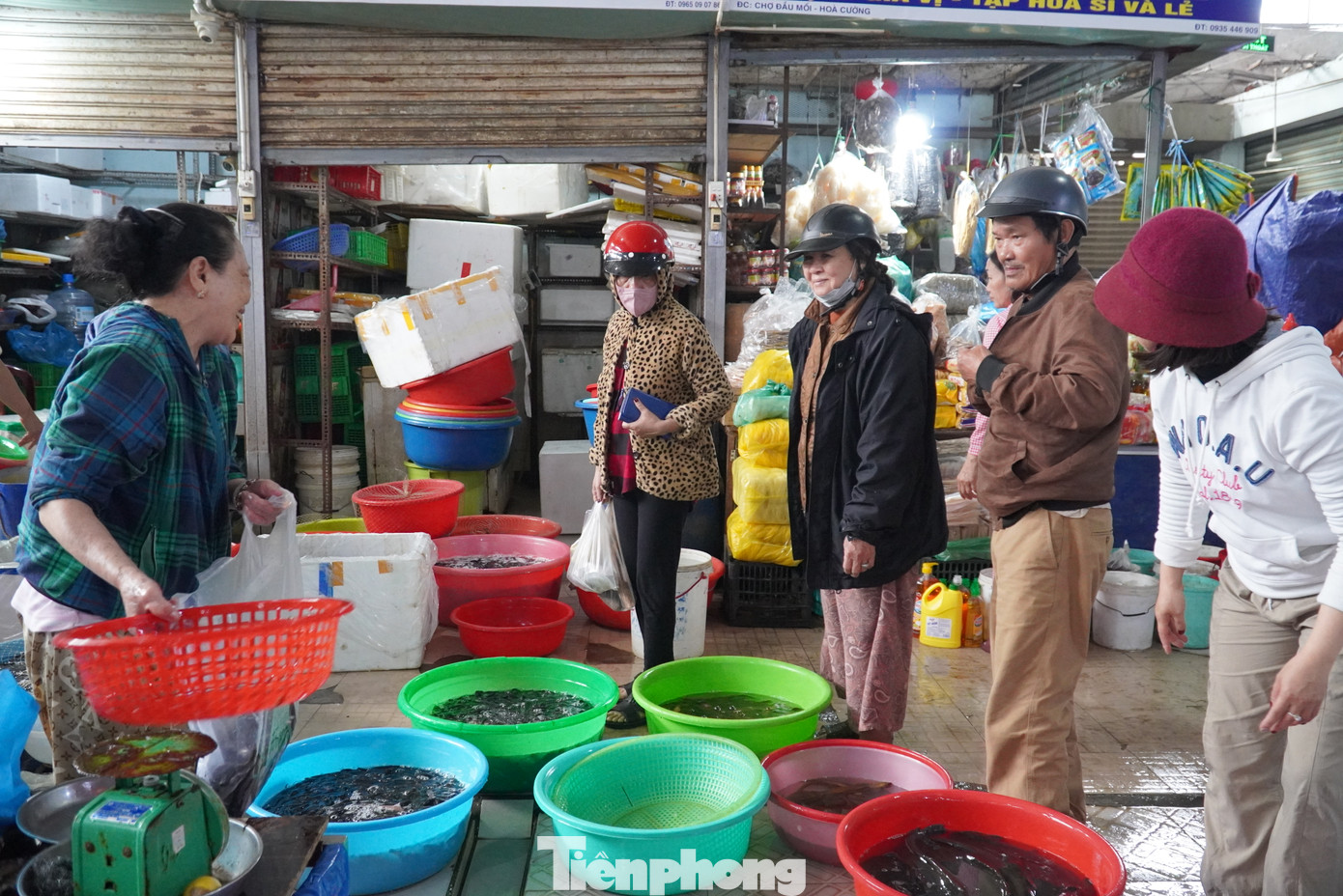 Ghi nhận tại chợ đầu mối Hòa Cường, các quầy bán cá phóng sinh tấp nập khách. Ảnh: Thanh Hiền. Ghi nhận tại chợ đầu mối Hòa Cường, các quầy bán cá phóng sinh tấp nập khách. Ảnh: Thanh Hiền.