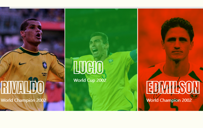 Trận đấu diễn ra vào 17h chiều 27/4 với sự góp mặt của những huyền thoại bóng đá Brazil gồm HLV Dunga, Rivaldo, Lucio, Ze’ Carlos, Giovanni, Kleberson, Edmilson, Paulo Sergio. Đội Việt Nam quy tụ những ngôi sao qua nhiều thế hệ như Công Vinh, Minh Phương, Hồng Sơn, Quốc Anh, Phước Vĩnh…