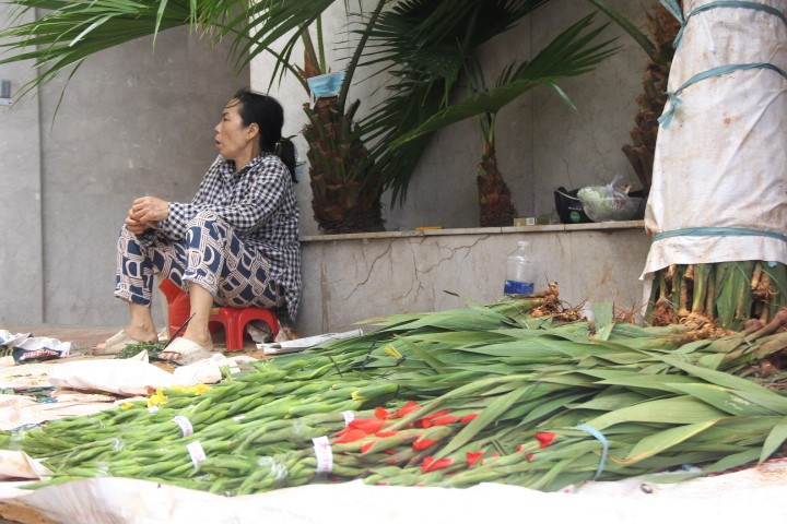 Rầu rĩ với hoa.