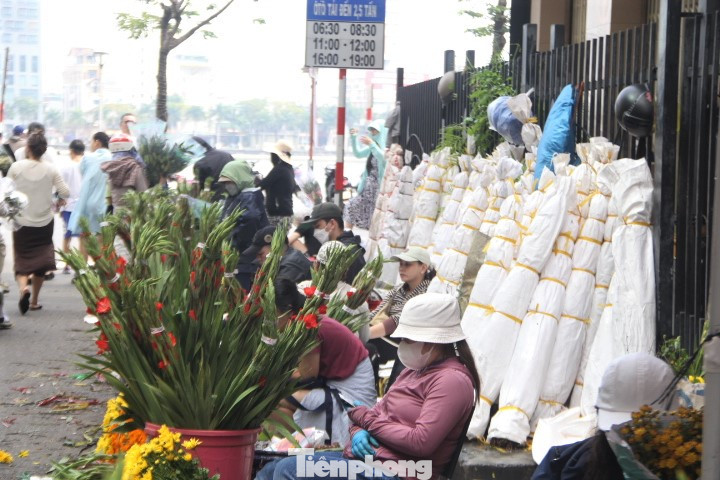 Tại chợ Hàn, chiều 29 tháng Chạp, hoa lay ơn còn rất nhiều. Hoa cắm trước chậu, hoa chưa khui bao dựa tường hàng loạt phía sau. Các tiểu thương cho hay năm nay hoa từ Đà Lạt về rất nhiều. (Ảnh: Thanh Trần).