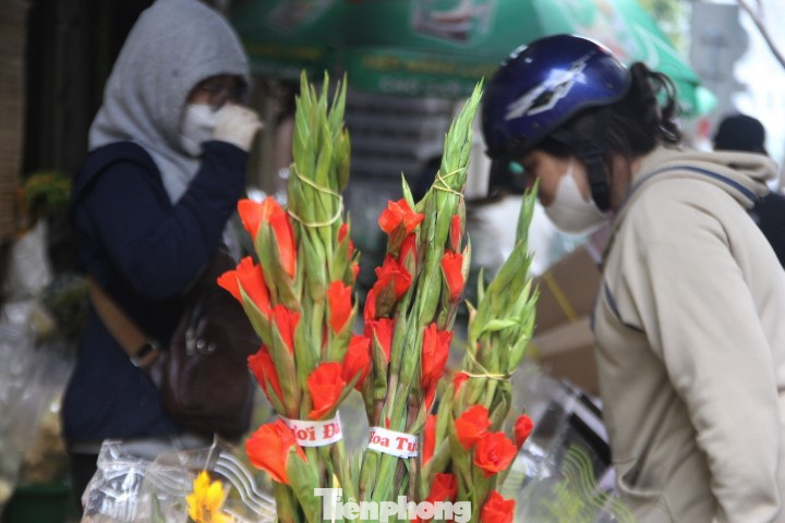 Hoa lay ơn chiếm số đông trong các loại hoa ở chợ.