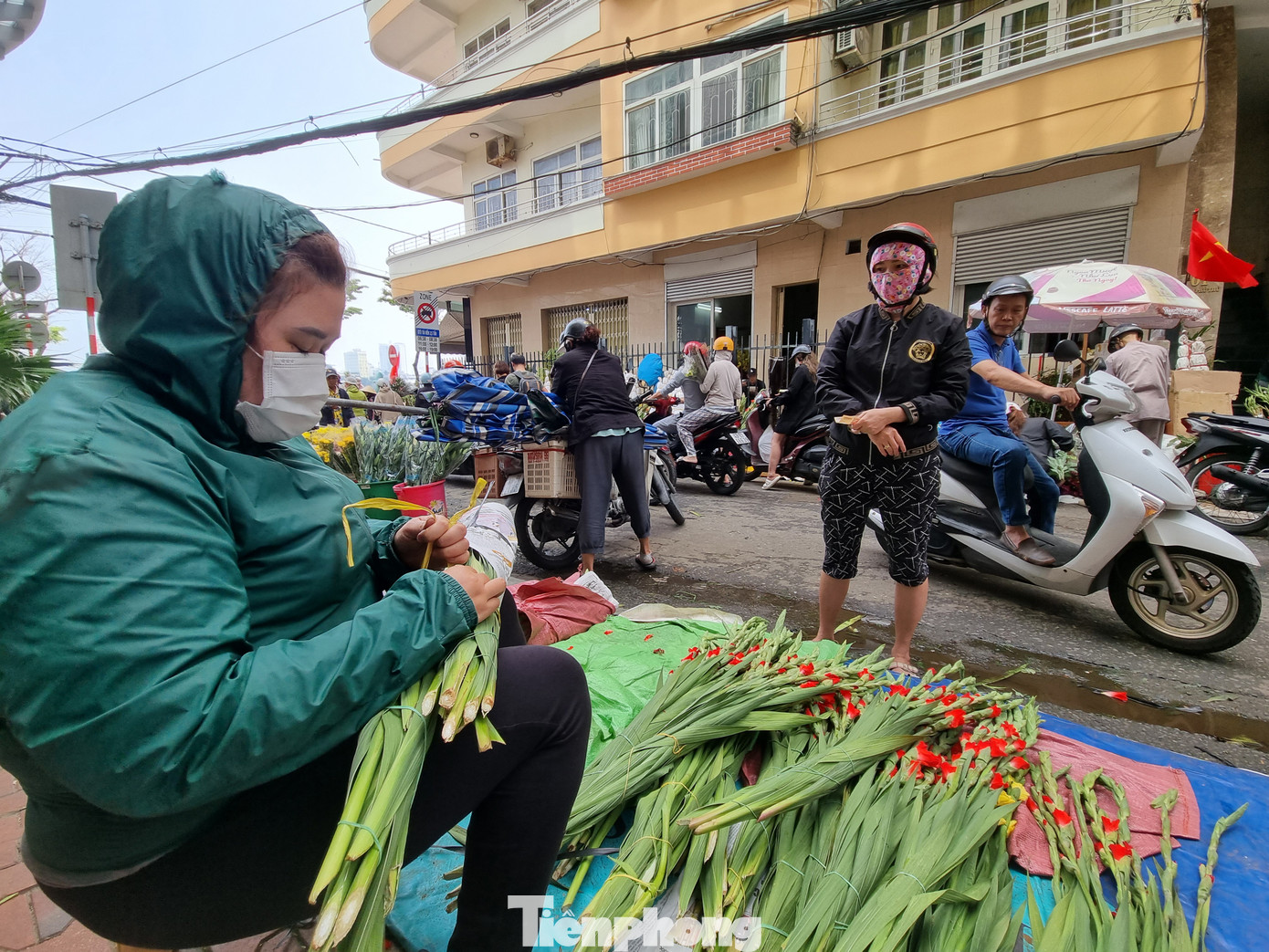 Còn đây là hoa lay ơn "nóng". Loại hoa này sau khi cắt sẽ được vận chuyển đi các tỉnh, thành ngay bằng xe tải bình thường. Theo các tiểu thương, loại hoa này đảm bảo về độ nở hơn hoa lạnh. Năm nay, lay ơn nóng có giá từ 70.000 - 90.000đ/bó, chỉ hơn một nửa so với năm ngoái.
