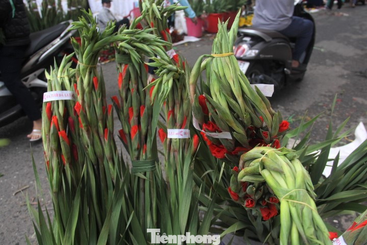 Hoa lay ơn chiếm số đông trong các loại hoa ở chợ.