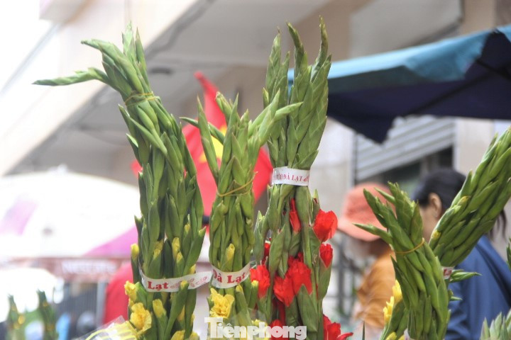 Hoa lay ơn chiếm số đông trong các loại hoa ở chợ.