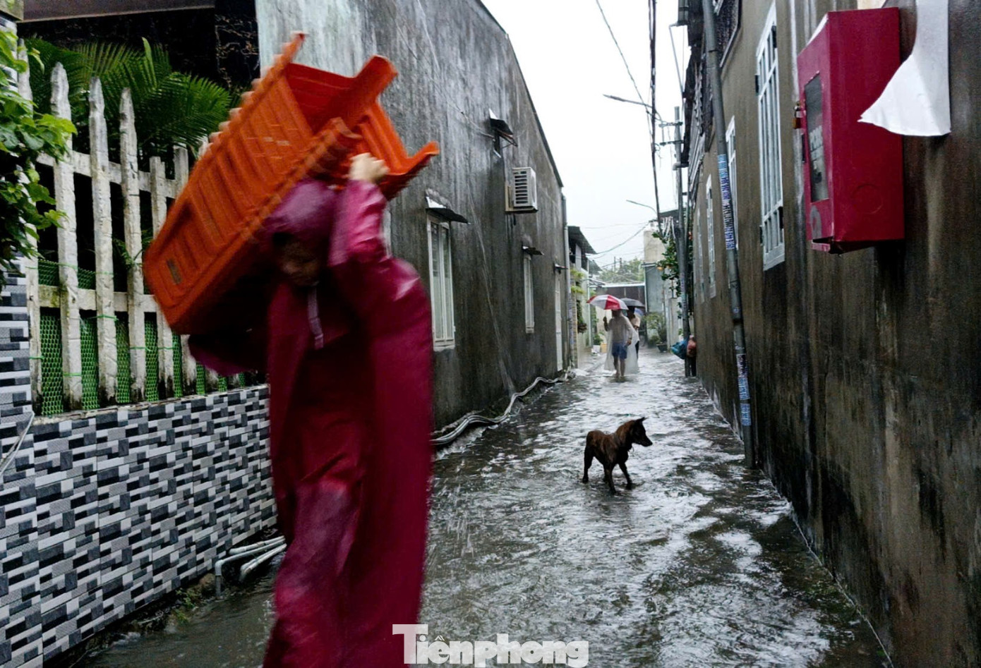 Người dân ở vùng rốn ngập Mẹ Suốt di dời tài sản, nước đã ngập hàng loạt kiệt hẻm, ngôi nhà ở khu vực này. Từ 3h - 6h ngày 5/11, Đà Nẵng đã có mưa, có nơi mưa to đến rất to. Tổng lượng mưa một số nơi như Sơn Trà 155.4mm, Suối Đá 155.2mm, Chi Cục Thủy Lợi 166.8 mm, Cẩm Lệ 127.4mm… Hiện nay, mực nước trên sông Vu Gia, sông Cẩm Lệ đang có dao động và ở mức dưới BĐ1. Người dân ở vùng rốn ngập Mẹ Suốt di dời tài sản, nước đã ngập hàng loạt kiệt hẻm, ngôi nhà ở khu vực này. Từ 3h - 6h ngày 5/11, Đà Nẵng đã có mưa, có nơi mưa to đến rất to. Tổng lượng mưa một số nơi như Sơn Trà 155.4mm, Suối Đá 155.2mm, Chi Cục Thủy Lợi 166.8 mm, Cẩm Lệ 127.4mm… Hiện nay, mực nước trên sông Vu Gia, sông Cẩm Lệ đang có dao động và ở mức dưới BĐ1.