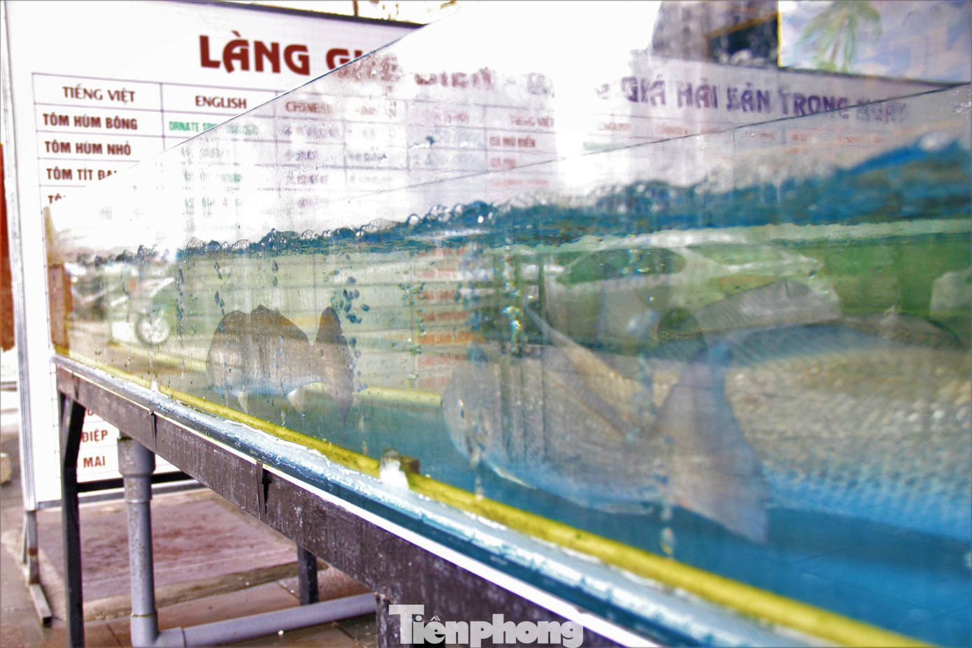 Các loại hải sản tươi sống được du khách quốc tế ưa chuộng.