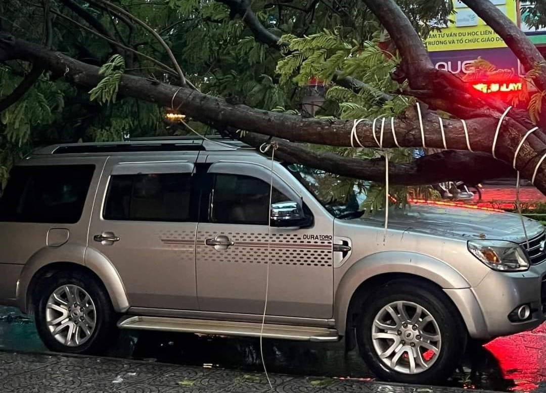 Cây ngã đè xe ô tô trên đường Nguyễn Văn Linh. Do ảnh hưởng của hoàn lưu cơn bão số 6 nên từ sáng sớm nay đến hết ngày 28/10 tại thành phố Đà Nẵng có mưa vừa, mưa to đến rất to và dông. Tổng lượng mưa các quận Liên Chiểu, Thanh Khê, Hải Châu phổ biến 150-350mm, có nơi trên 400mm; quận Sơn Trà, Ngũ Hành Sơn phổ biến 200-350mm, có nơi trên 450mm; quận Cẩm Lệ và huyện Hòa Vang phổ biến 150-300mm, có nơi trên 400mm; huyện đảo Hoàng Sa 50-100mm, có nơi trên 150mm. Cảnh báo nguy cơ có mưa cục bộ cường suất lớn (&gt;100mm/3h).