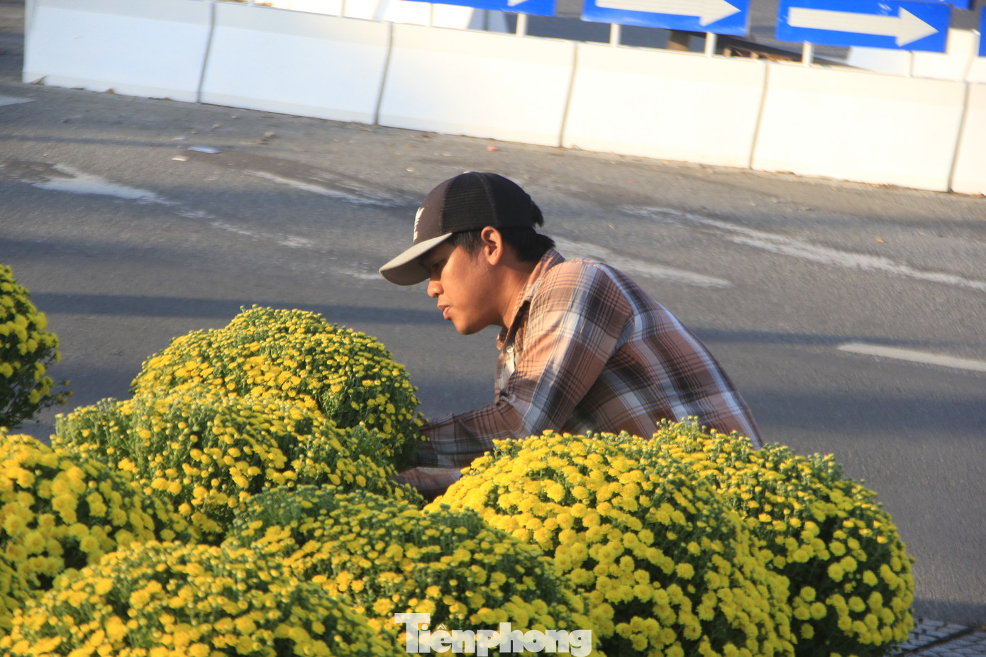 Các chủ vườn cho biết, họ đã dùng rất nhiều cách để hãm hoa nở mới giữ được những chậu đạt chuẩn. Các chủ vườn cho biết, họ đã dùng rất nhiều cách để hãm hoa nở mới giữ được những chậu đạt chuẩn.