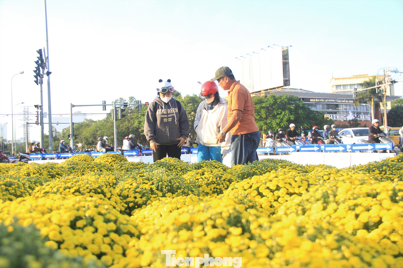 Người dân Đà Nẵng đi chọn hoa chưng Tết. Người dân Đà Nẵng đi chọn hoa chưng Tết.