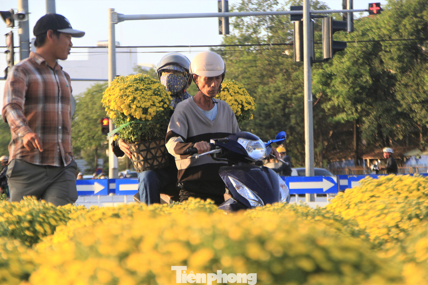 Để hoa không bị hỏng và nở đều, các chủ vườn nhắc người chơi hoa nên tưới nước ở gốc, không nên tưới thẳng vào hoa. Để hoa không bị hỏng và nở đều, các chủ vườn nhắc người chơi hoa nên tưới nước ở gốc, không nên tưới thẳng vào hoa.